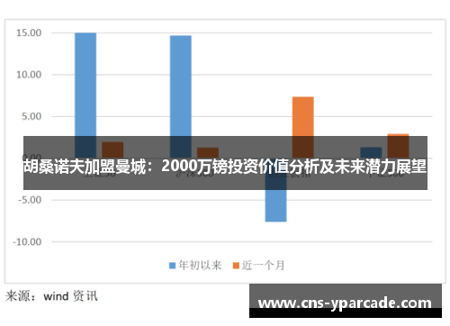 胡桑诺夫加盟曼城：2000万镑投资价值分析及未来潜力展望