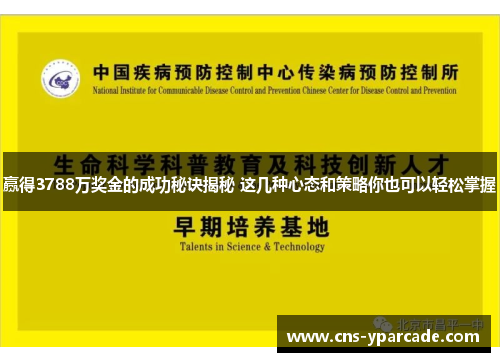 赢得3788万奖金的成功秘诀揭秘 这几种心态和策略你也可以轻松掌握