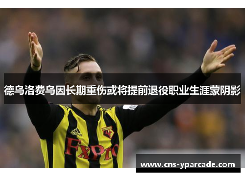 德乌洛费乌因长期重伤或将提前退役职业生涯蒙阴影 德乌洛费乌因长期重伤或将提前退役职业生涯蒙阴影