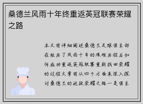 桑德兰风雨十年终重返英冠联赛荣耀之路
